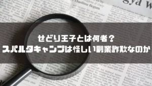 せどり王子とは何者?スパルタキャンプは怪しい副業詐欺なのか
