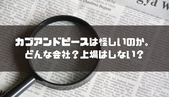 カブアンドピースは怪しいのか。どんな会社？上場はしない？